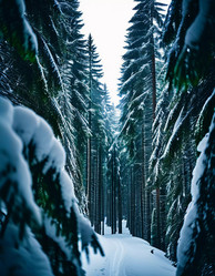 Similar image 22025850