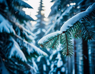 Similar image 22026178