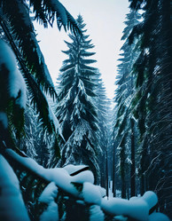 Similar image 22026455