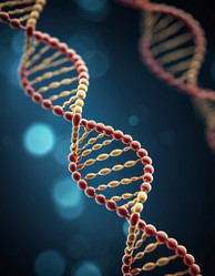 Similar image 22026472