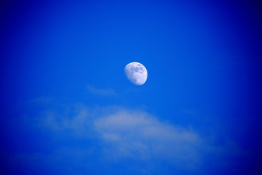 Similar image 22050851