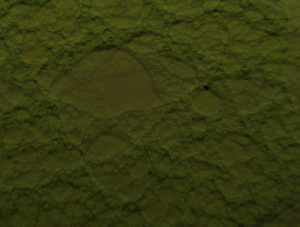 Similar image 22020778