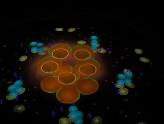 Similar image 22023868