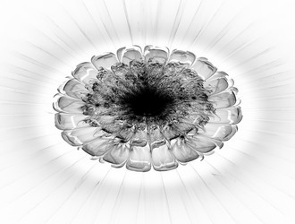 Similar image 22021544