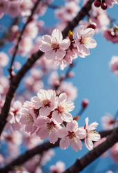 Similar image 22025998