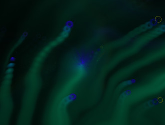 Similar image 22022894