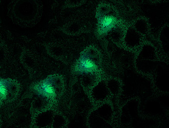 Similar image 22021924