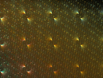 Similar image 22020369