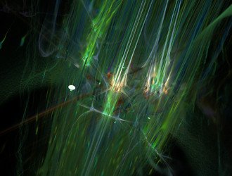 Similar image 22022691