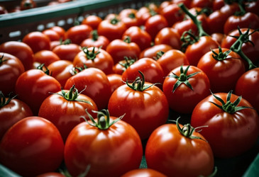 Similar image 22026229