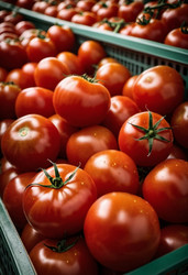 Similar image 22026230