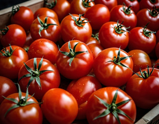 Similar image 22026521