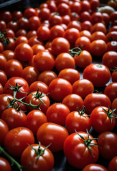 Similar image 22026522