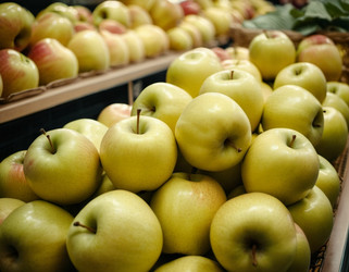 Similar image 22026024