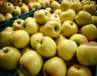 Similar image 22026025