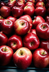 Similar image 22026030