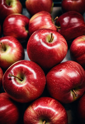 Similar image 22026031