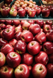 Similar image 22026032