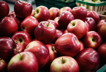 Similar image 22026235