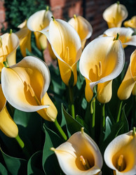 Similar image 22026245