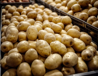 Similar image 22026524