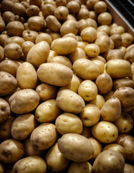 Similar image 22026528