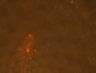 Similar image 22020799