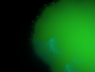 Similar image 22020393