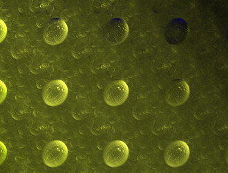 Similar image 22022425