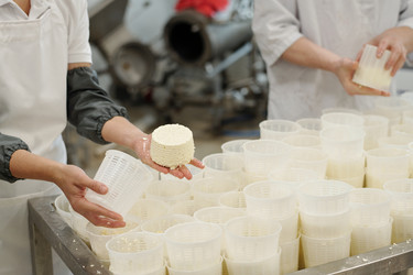 Similar image 22034335