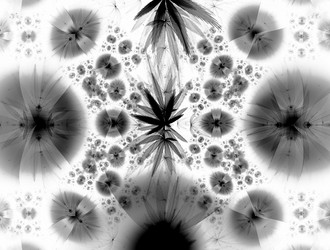 Similar image 22021933