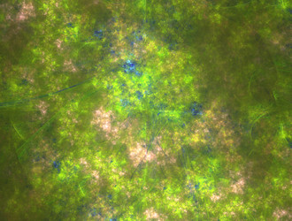 Similar image 22020407