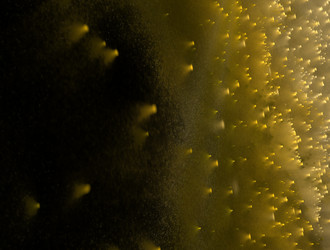 Similar image 22021267