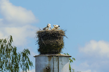 Similar image 22025067