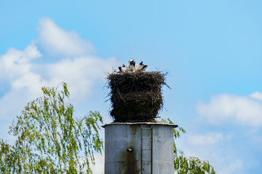 Similar image 22025336