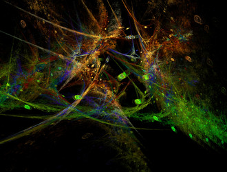 Similar image 22023495