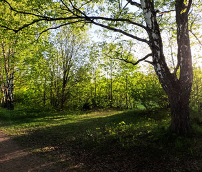 Similar image 22025338