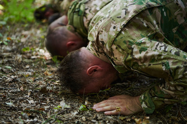 Similar image 22030036