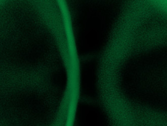 Similar image 22022970