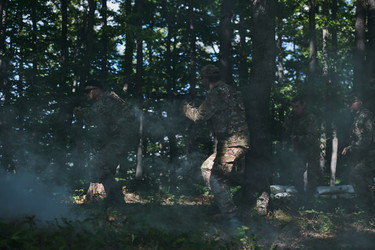 Similar image 22039767