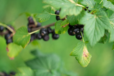 Similar image 22029487