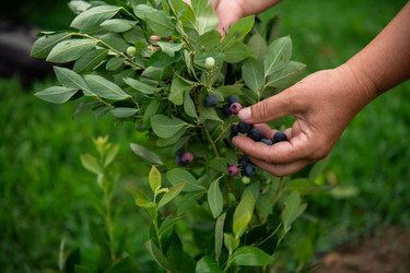 Similar image 22029612