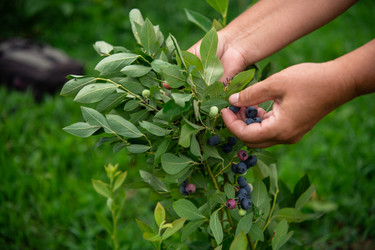 Similar image 22030049