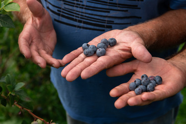 Similar image 22030450