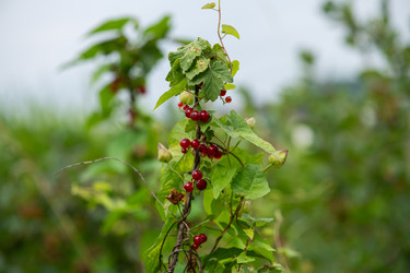 Similar image 22032366