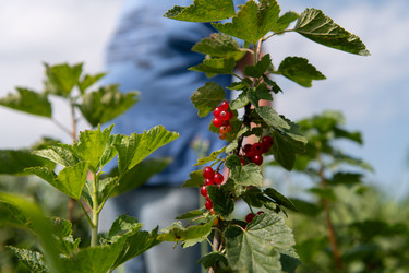 Similar image 22038779