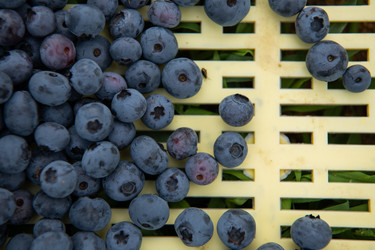 Similar image 22039294