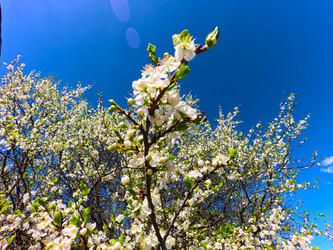 Similar image 22025105