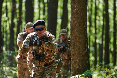 Similar image 22038782