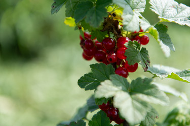 Similar image 22038783